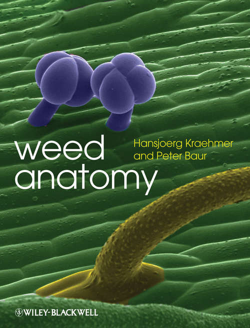 Book cover of Weed Anatomy