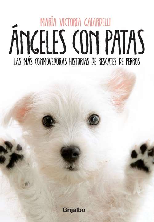Book cover of ANGELES CON PATAS (EBOOK)