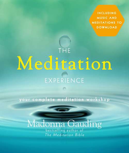 Book cover of The Meditation Experience: Your Complete Meditation Workshop In A Book With A Cd Of Meditations (Experience Series)