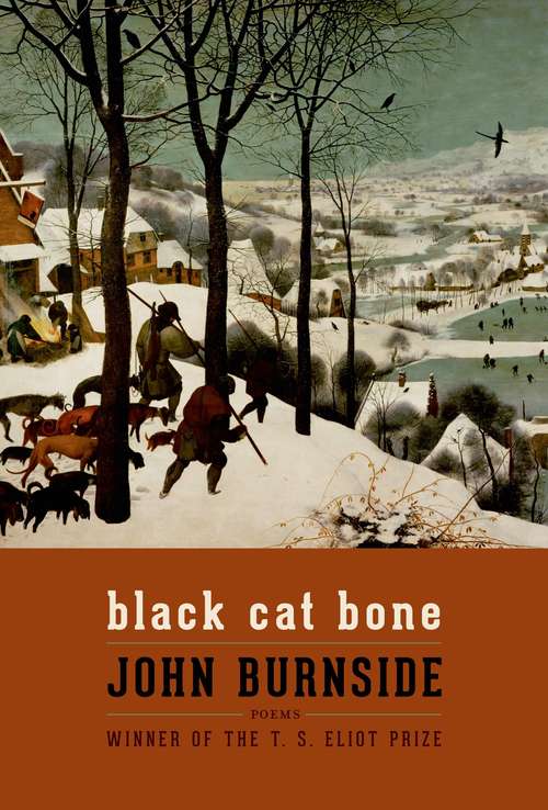 Book cover of Black Cat Bone: Poems