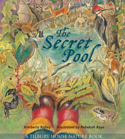 Book cover of The Secret Pool (Tilbury House Nature Book #0)