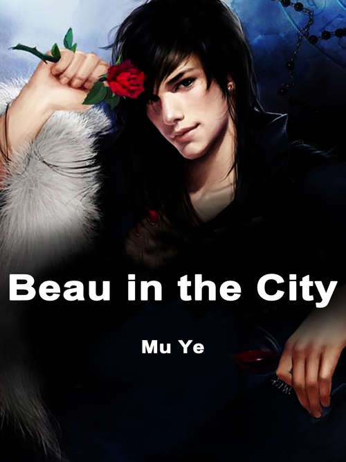 Book cover of Beau in the City: Volume 1 (Volume 1 #1)