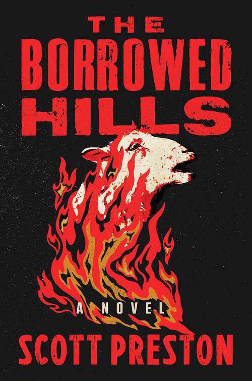 Book cover of The Borrowed Hills: A Novel