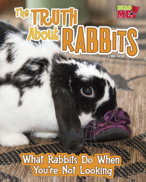 Book cover of The Truth about Rabbits: What Rabbits Do When You're Not Looking (Pets Undercover! Ser.)