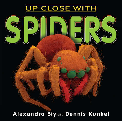 Book cover of Up Close With Spiders