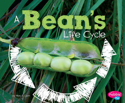 Book cover of A Bean's Life Cycle (Explore Life Cycles Ser.)