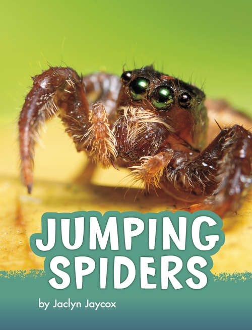 Book cover of Jumping Spiders (Animals)