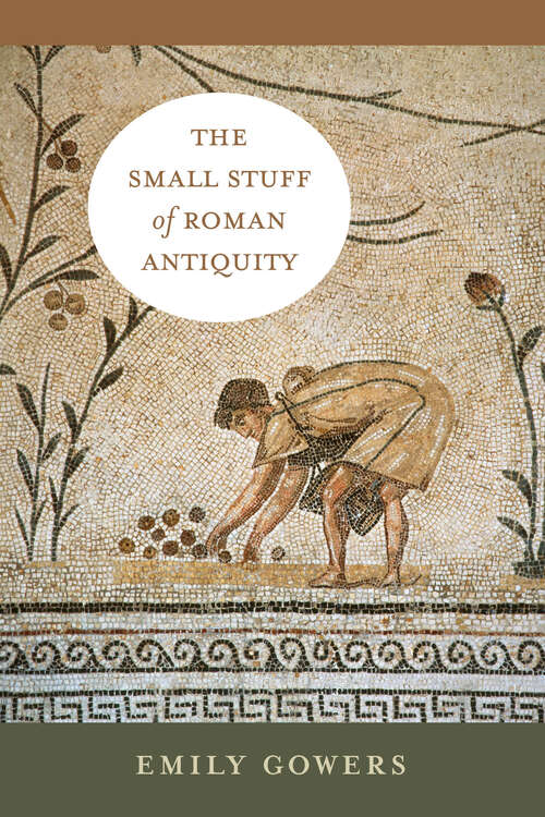 Book cover of The Small Stuff of Roman Antiquity (1) (Sather Classical Lectures)