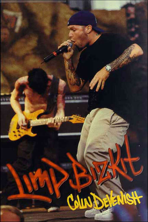 Book cover of Limp Bizkit