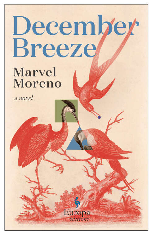 Book cover of December Breeze: A Novel