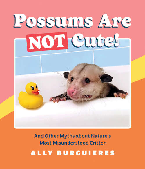 Book cover of Possums Are Not Cute!: And Other Myths about Nature's Most Misunderstood Critter