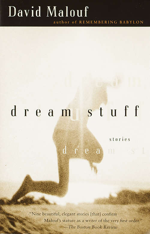 Book cover of Dream Stuff