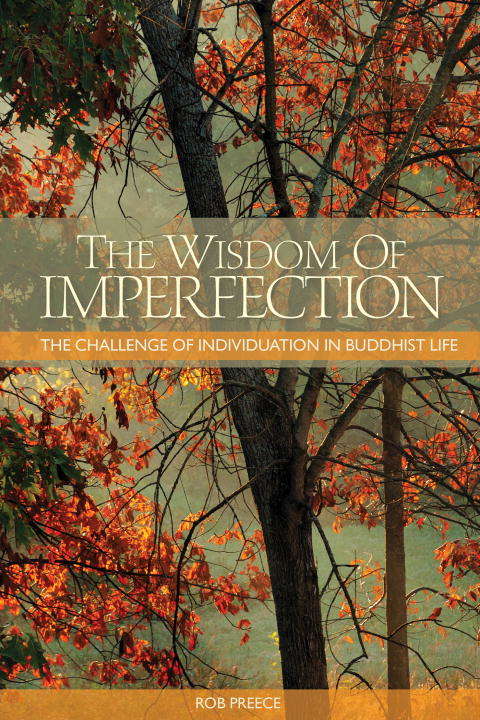 Book cover of The Wisdom of Imperfection