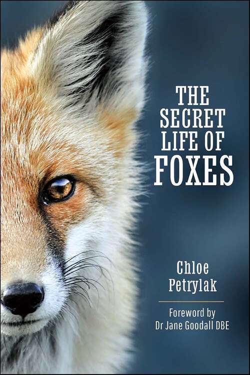 Book cover of The Secret Life of Foxes