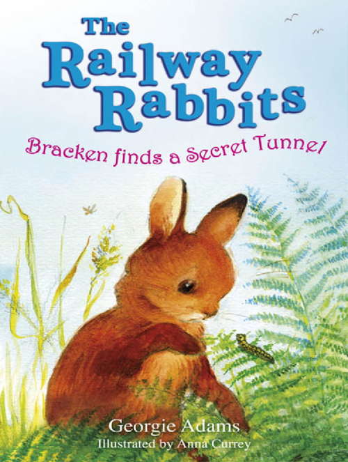 Book cover of Railway Rabbits: Bracken Finds a Secret Tunnel: Book 5