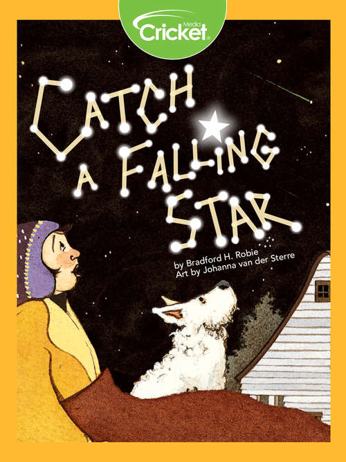 Book cover of Catch a Falling Star