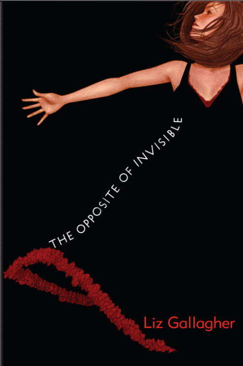 Book cover of The Opposite of Invisible