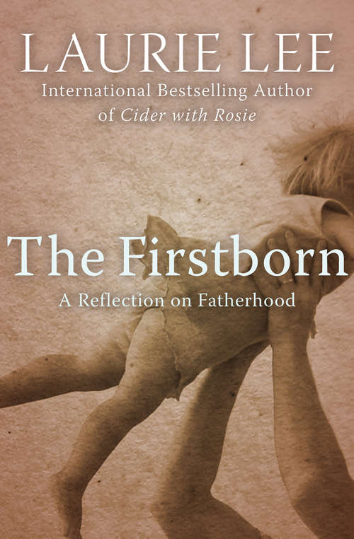 Book cover of The Firstborn: A Reflection on Fatherhood