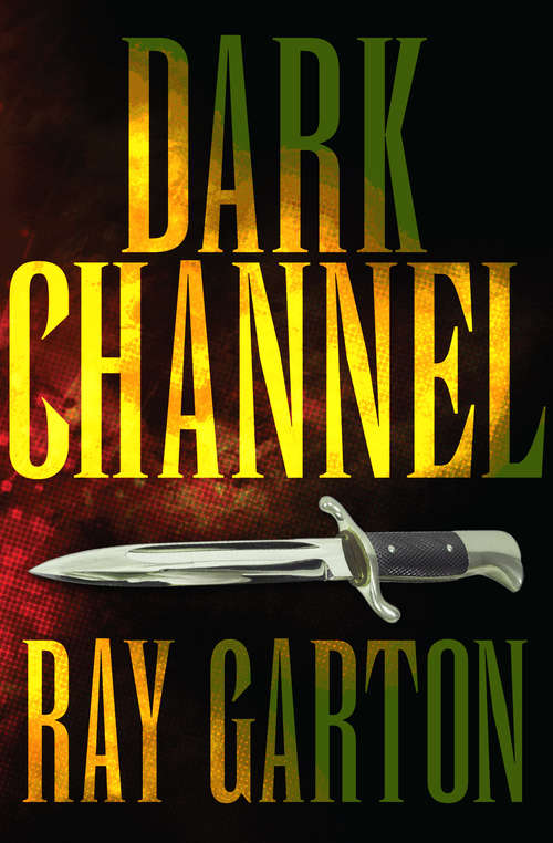 Book cover of Dark Channel