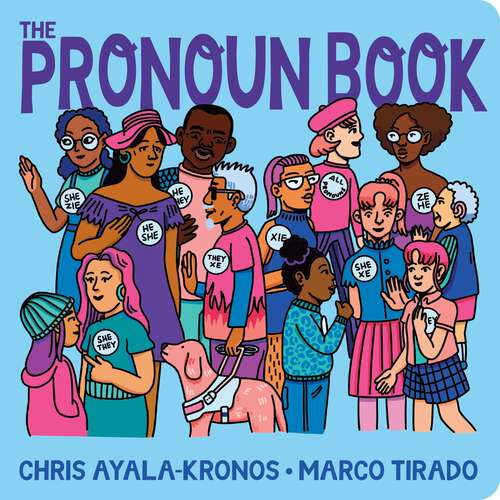 Book cover of The Pronoun Book