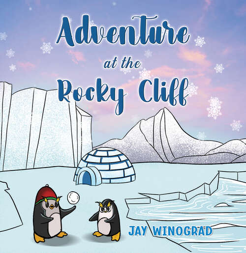 Book cover of Adventure at the Rocky Cliff