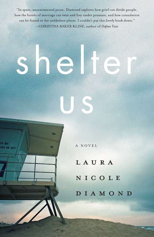 Book cover of Shelter Us: A Novel