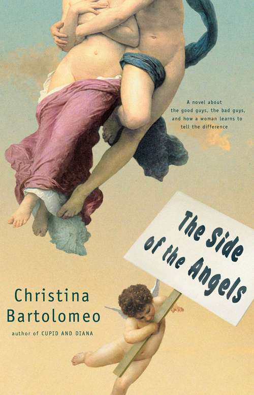 Book cover of The Side of the Angels