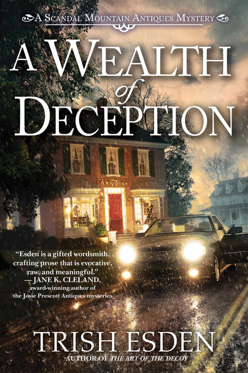 Book cover of A Wealth of Deception (A Scandal Mountain Antiques Mystery #2)