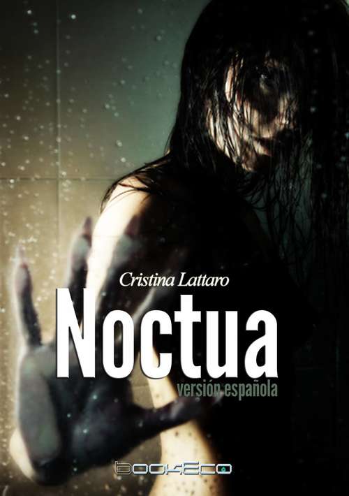 Book cover of Noctua