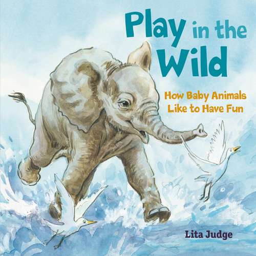 Book cover of Play in the Wild: How Baby Animals Like to Have Fun (In the Wild)