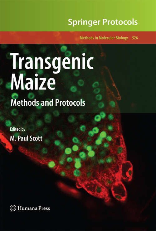 Book cover of Transgenic Maize