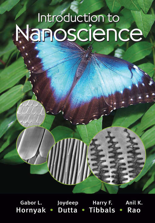 Book cover of Introduction to Nanoscience