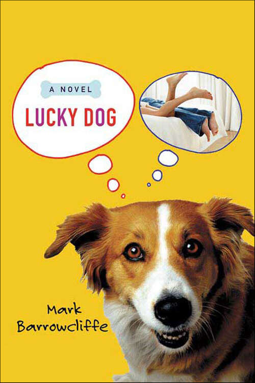 Book cover of Lucky Dog: A Novel