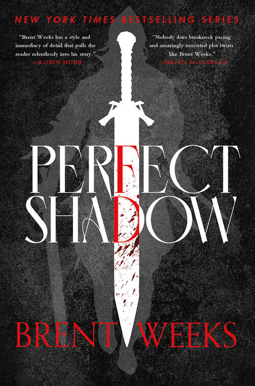 Book cover of Perfect Shadow: A Night Angel Novella (The Night Angel Trilogy)