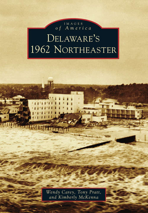 Book cover of Delaware's 1962 Northeaster