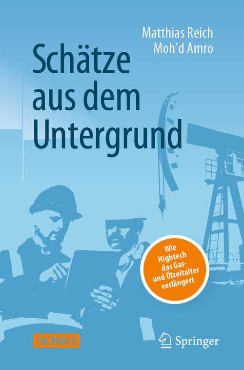 Book cover of Schätze aus dem Untergrund: Wie Hightech das Gas- und Ölzeitalter verlängert (2. Aufl. 2022)