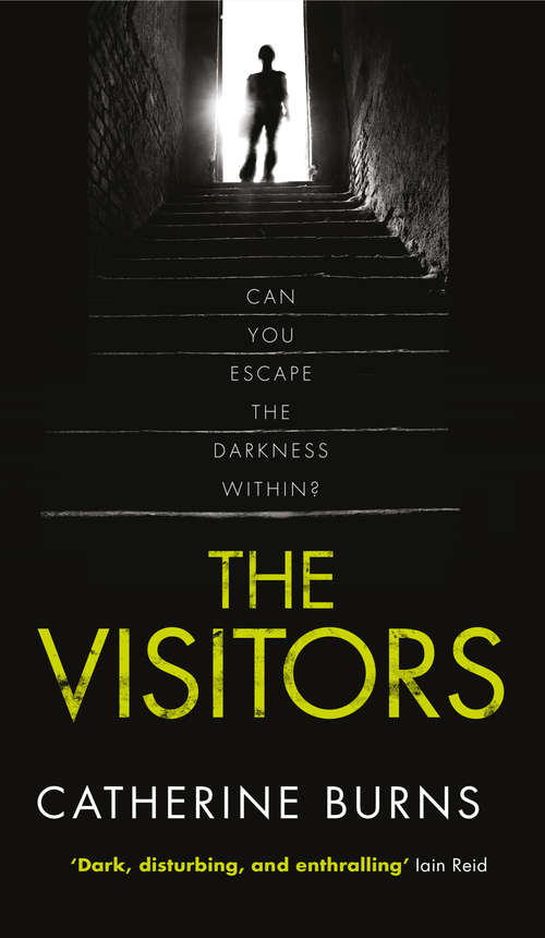 Book cover of The Visitors: Gripping thriller, you won’t see the end coming