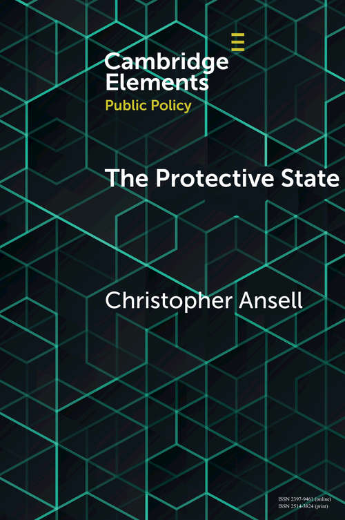 Book cover of The Protective State (Elements in Public Policy)