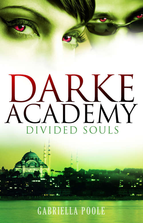 Book cover of Divided Souls: Book 3 (Darke Academy #3)