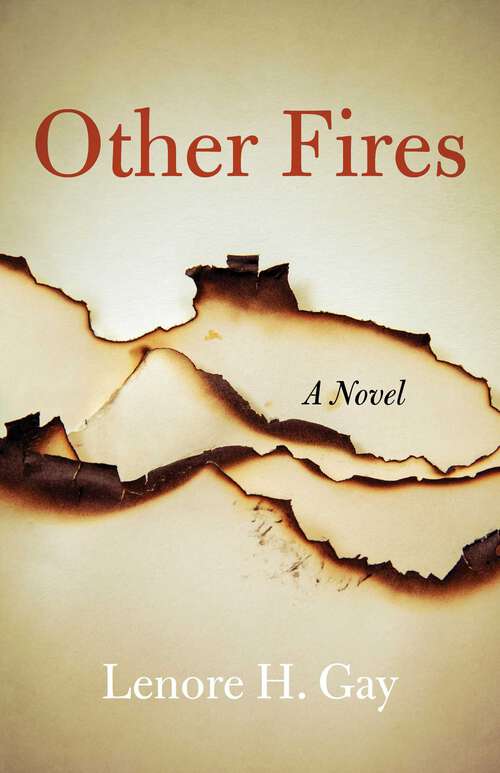 Book cover of Other Fires: A Novel