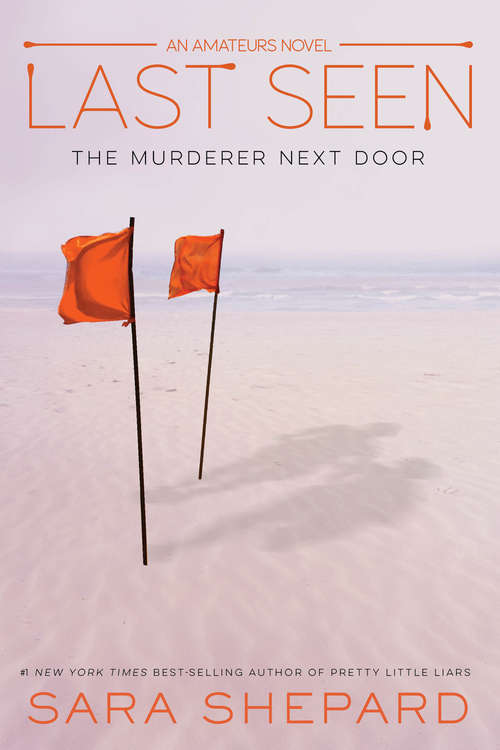 Book cover of Last Seen (The Amateurs #3)