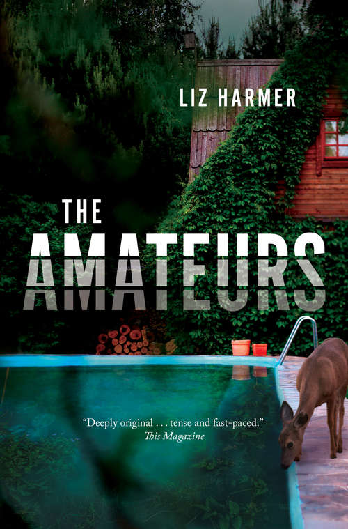 Book cover of The Amateurs