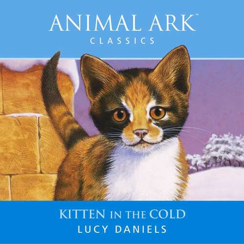 Book cover of Kitten in the Cold (Animal Ark #20)