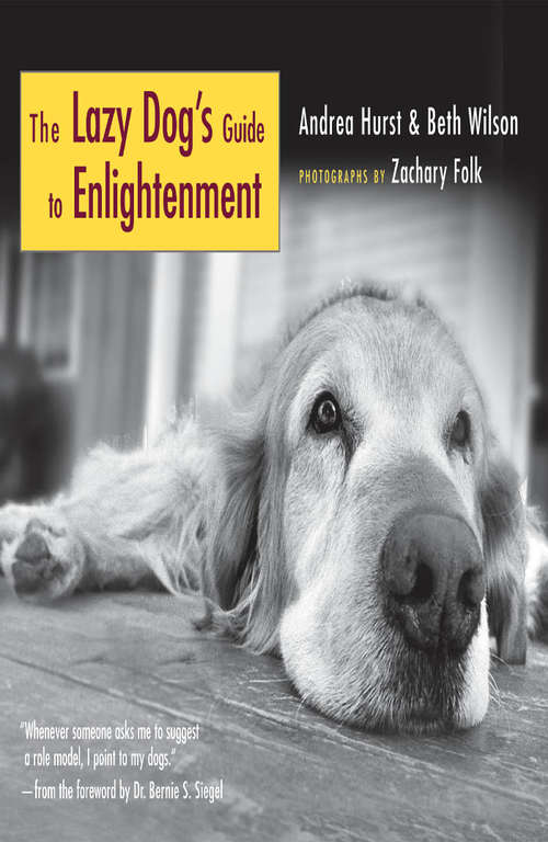 Book cover of The Lazy Dog's Guide to Enlightenment