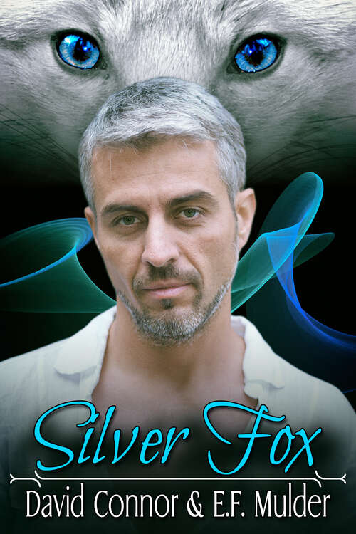 Book cover of Silver Fox