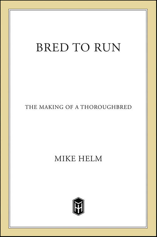 Book cover of Bred to Run: The Making of a Thoroughbred