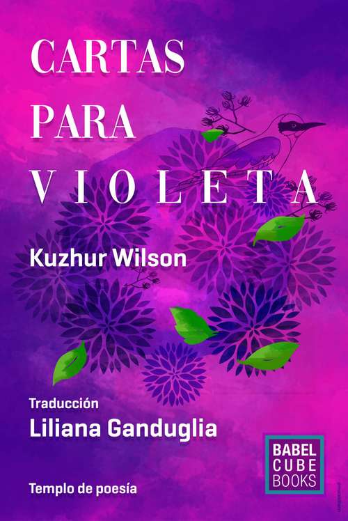 Book cover of Cartas para Violeta