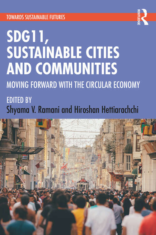 Book cover of SDG11, Sustainable Cities and Communities (Towards Sustainable Futures)