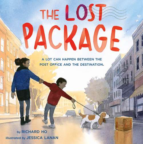 Book cover of The Lost Package