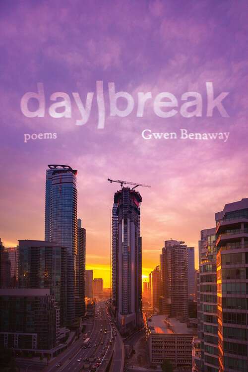 Book cover of day/break
